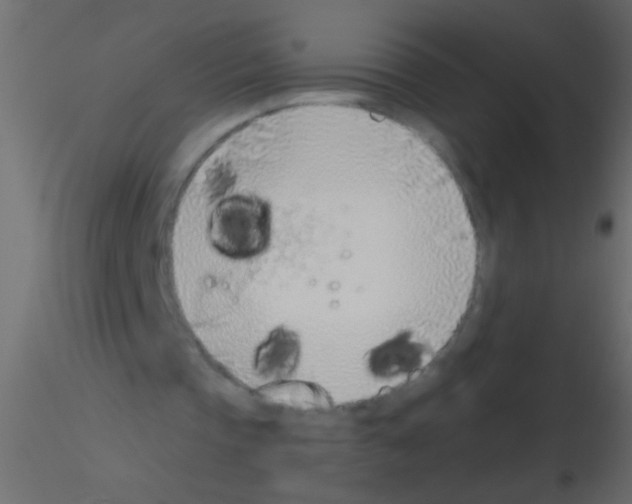 X0000115820337200912241939