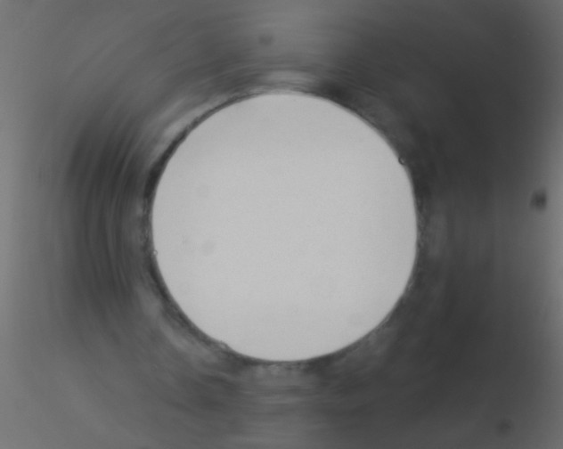 X0000115820338200912241939