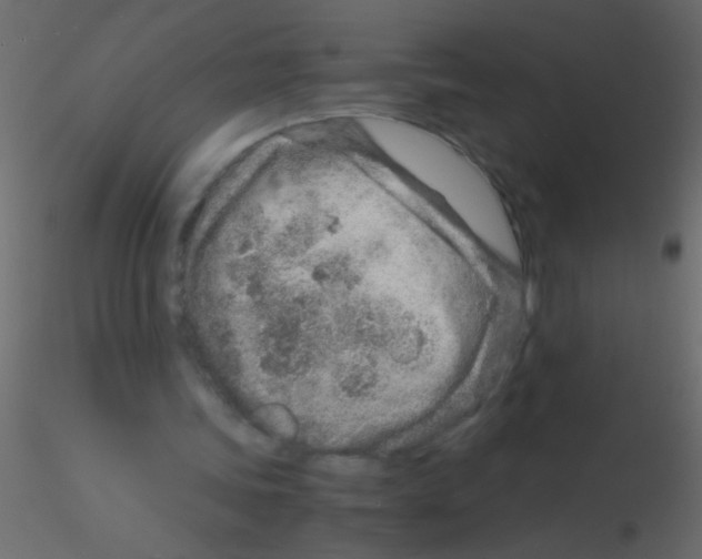 X0000115820339200912241939