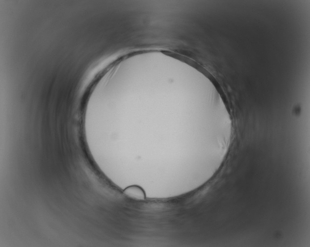 X0000115820342200912241939