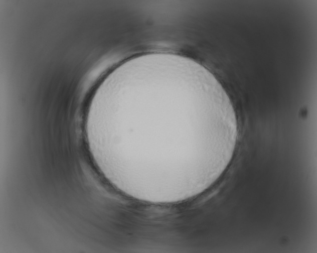 X0000115820343200912241939