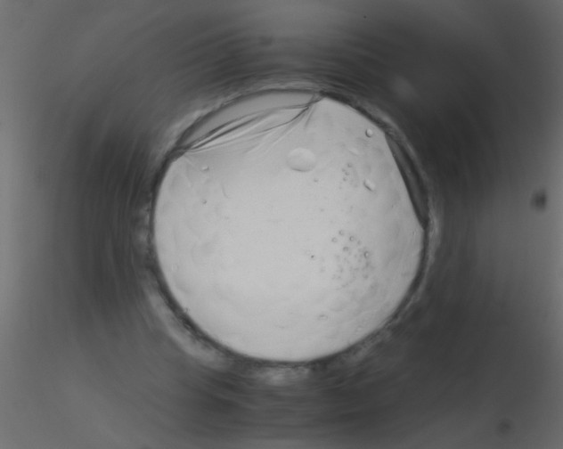 X0000115820345200912241939