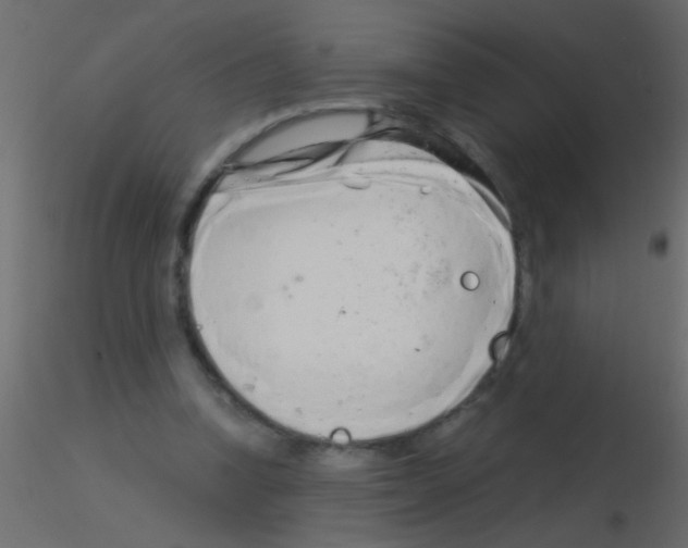 X0000115820346200912241939