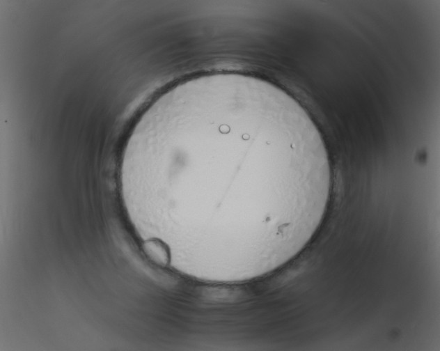 X0000115820347200912241939