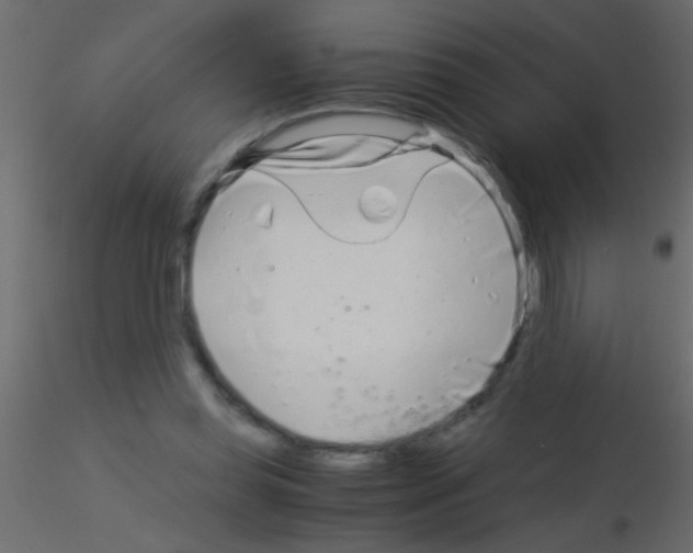 X0000115820349200912241940