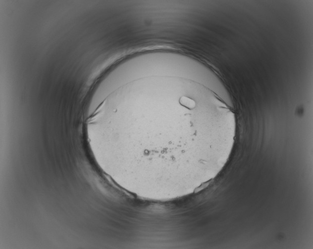 X0000115820350200912241940