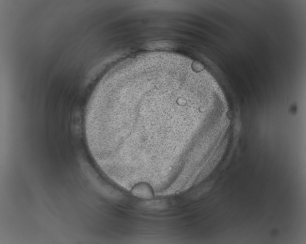 X0000115820353200912241940