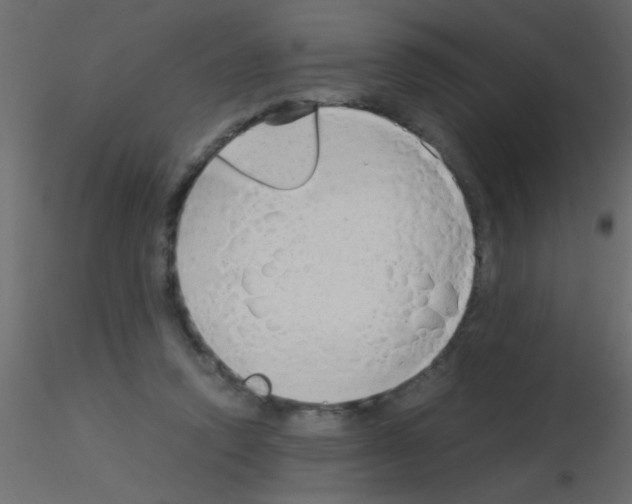 X0000115820354200912241940