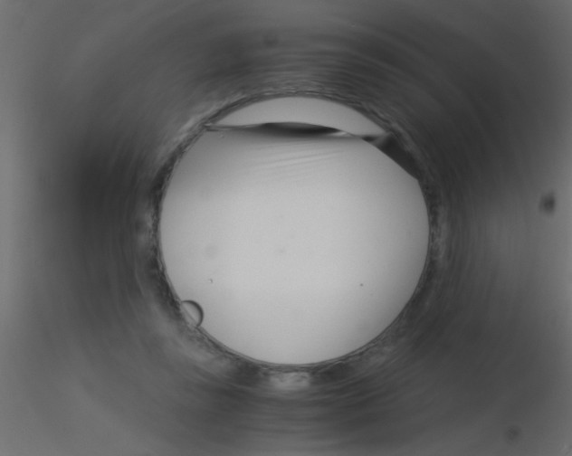 X0000115820355200912241940