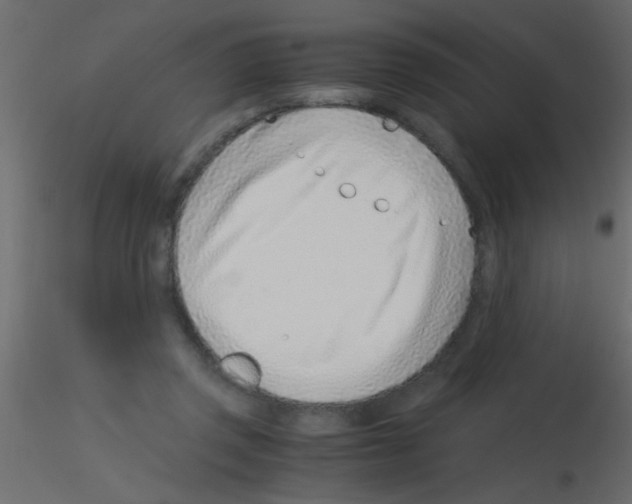 X0000115820357200912241940