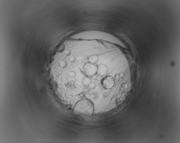 X0000115820359200912241940