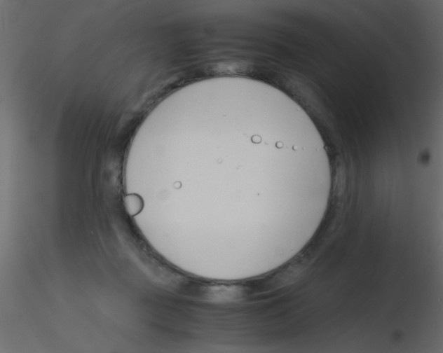 X0000115820363200912241940