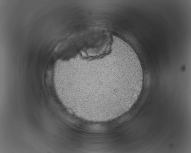 X0000115820365200912241940