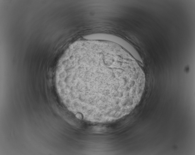 X0000115820366200912241940