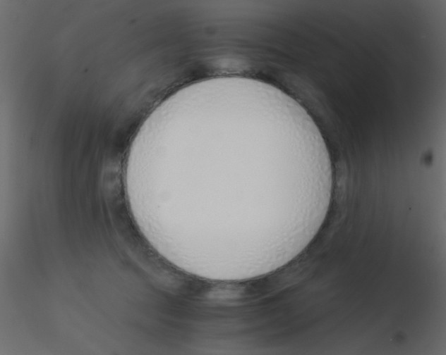 X0000115820369200912241940