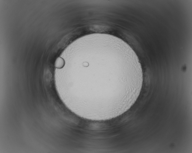 X0000115820371200912241940