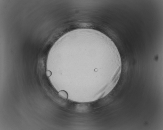 X0000115820373200912241940