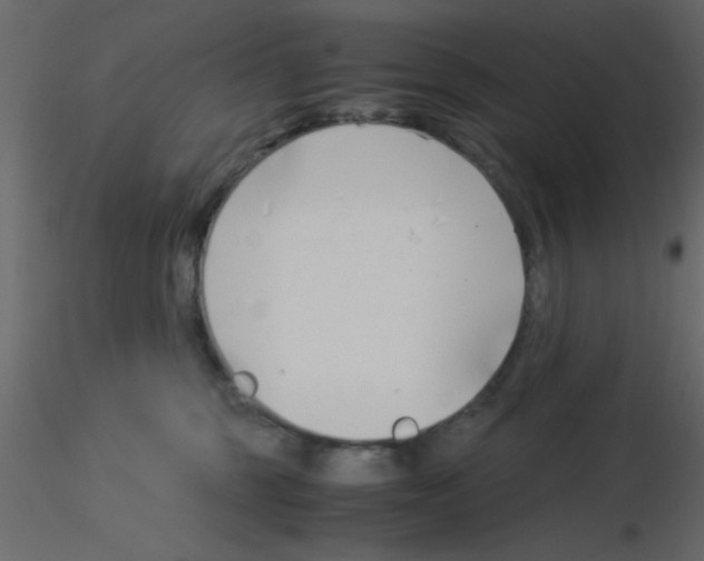 X0000115820375200912241940