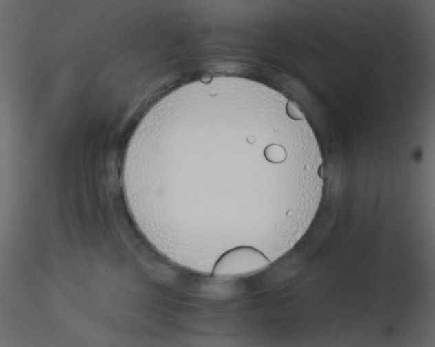 X0000115820377200912241940