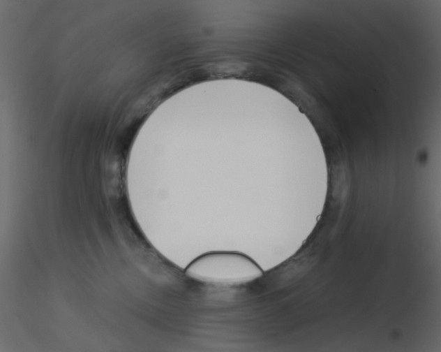 X0000115820378200912241940