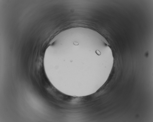 X0000115820382200912241940