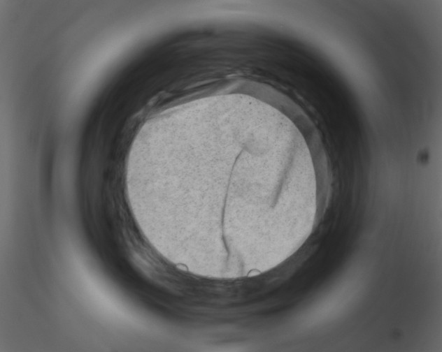 X0000115820383200912241940