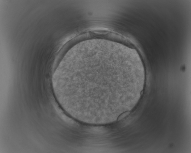 X0000115820385200912241939