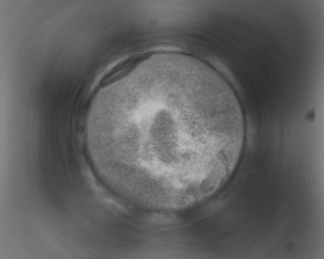 X0000115820386200912241939