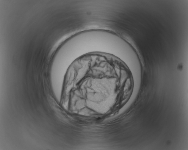 X0000115820387200912241939