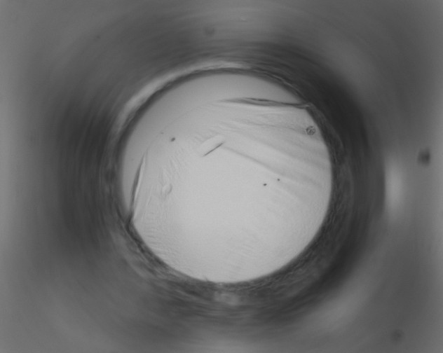 X0000115820388200912241939