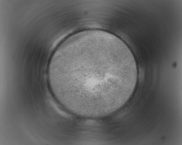 X0000115820390200912241939