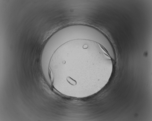 X0000115820393200912241939