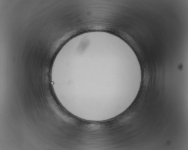 X0000115820394200912241939