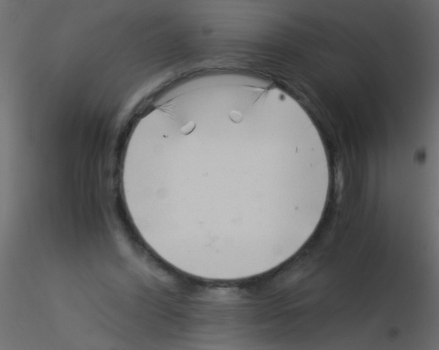 X0000115820396200912241939