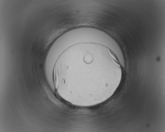 X0000115820397200912241939