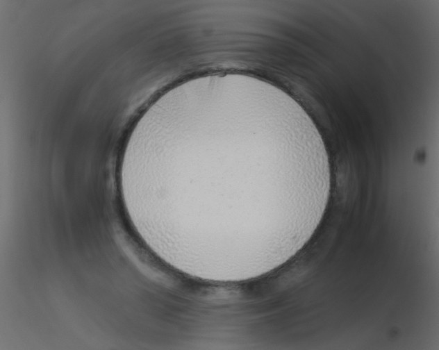 X0000115820398200912241939