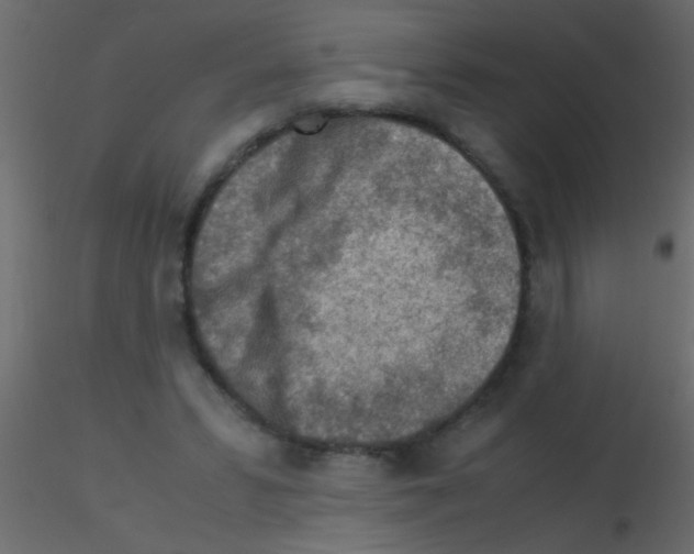 X0000115820399200912241939