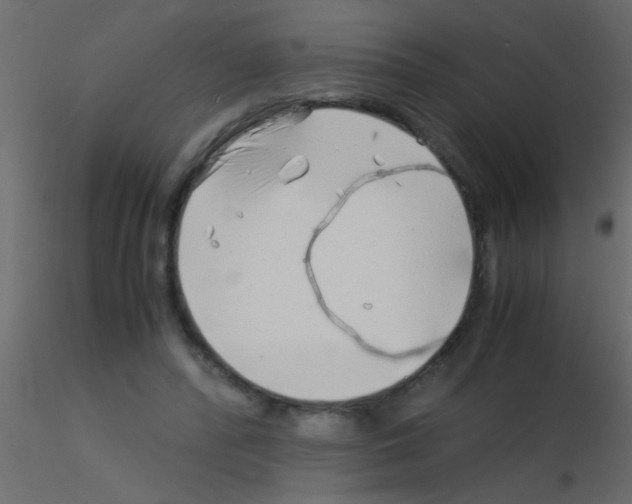 X0000115820400200912241939