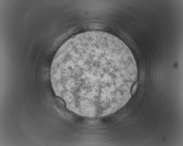 X0000115820401200912241939