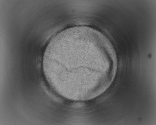 X0000115820402200912241939