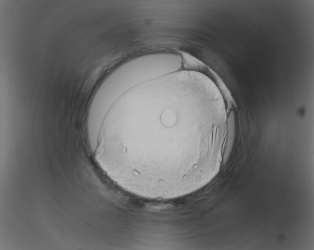 X0000115820407200912241939