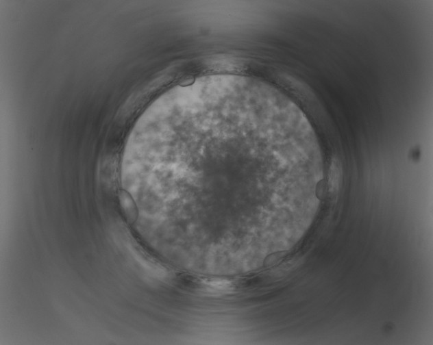 X0000115820409200912241939