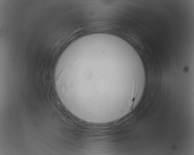 X0000115820413200912241939