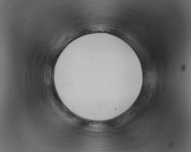 X0000115820414200912241939