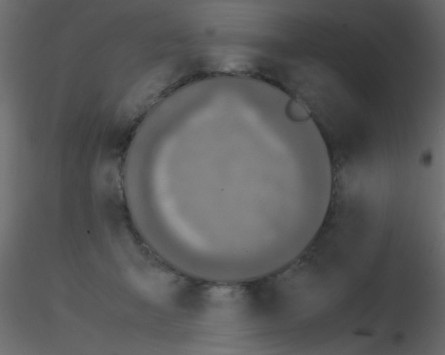 X0000115820415200912241939