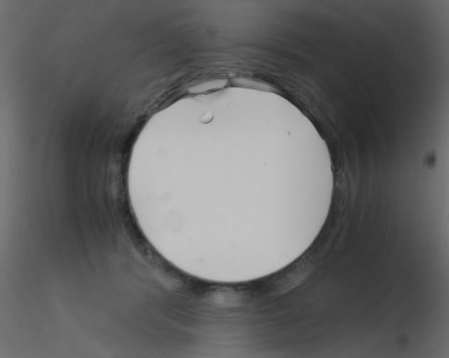 X0000115820416200912241939