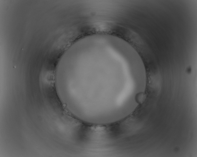 X0000115820419200912241939