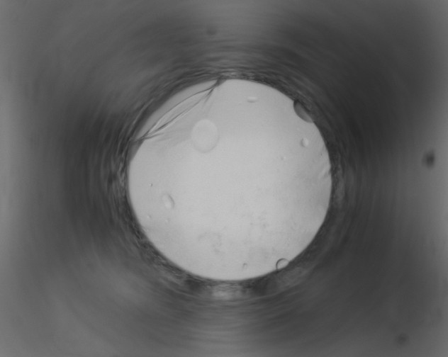 X0000115820420200912241939