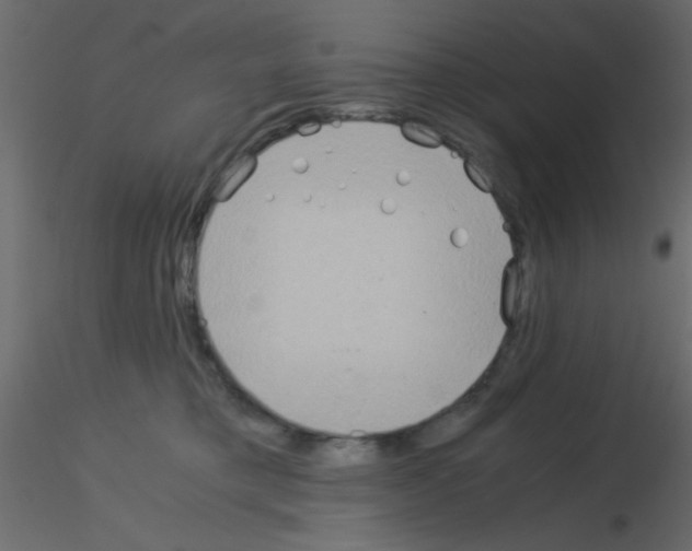 X0000115820421200912241939