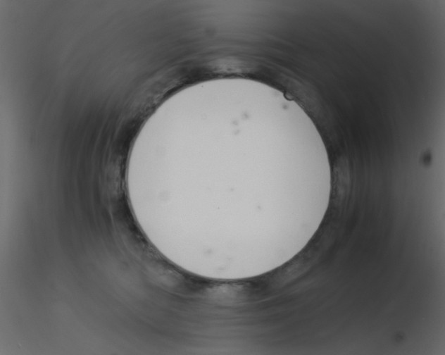 X0000115820422200912241939